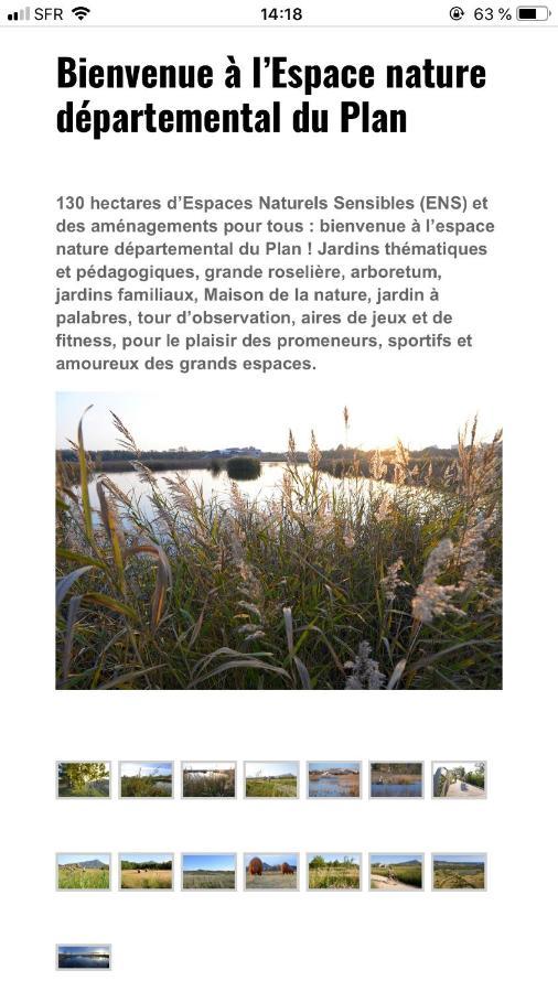 Maison "Les Vignes" Le Pradet Buitenkant foto